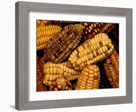 Peruvian Corn, Peru-Pete Oxford-Framed Photographic Print
