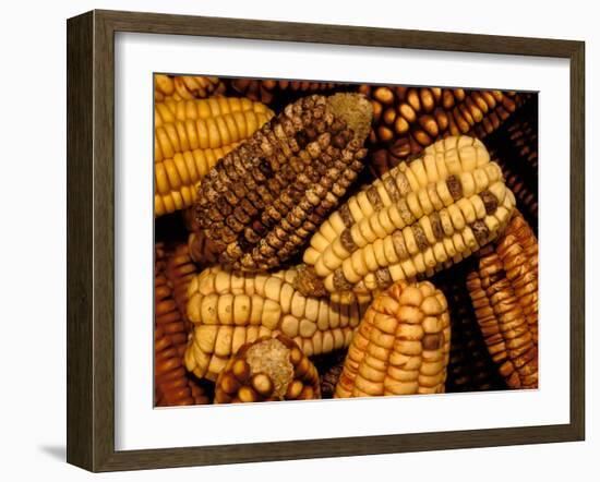 Peruvian Corn, Peru-Pete Oxford-Framed Photographic Print