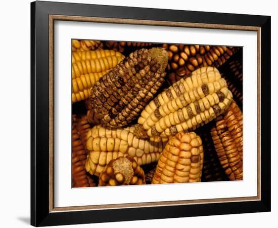 Peruvian Corn, Peru-Pete Oxford-Framed Photographic Print