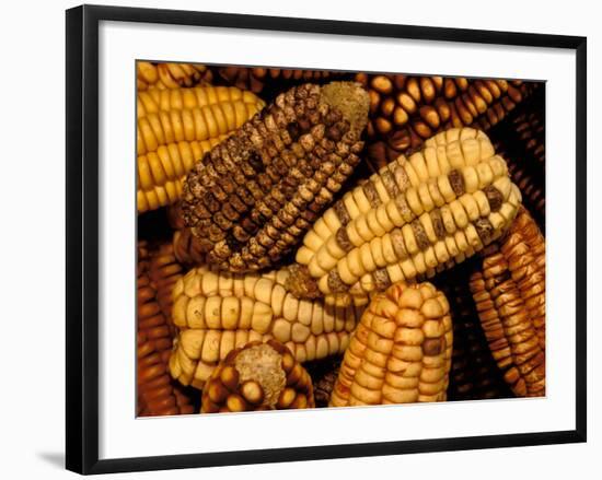 Peruvian Corn, Peru-Pete Oxford-Framed Photographic Print