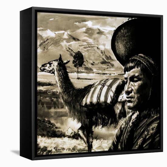 Peruvian Indian and Llama-null-Framed Premier Image Canvas