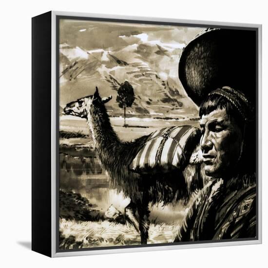 Peruvian Indian and Llama-null-Framed Premier Image Canvas