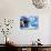 Pessimism and Optimism-Giacomo Balla-Giclee Print displayed on a wall