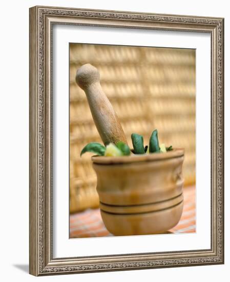 Pesto, Genoa (Genova), Liguria, Italy-Oliviero Olivieri-Framed Photographic Print