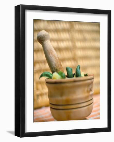 Pesto, Genoa (Genova), Liguria, Italy-Oliviero Olivieri-Framed Photographic Print