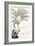 Pestonjee Bomonjee Sitting in His Palm-Tree and Watching the Rhinoceros Strorks Bathing-Rudyard Kipling-Framed Giclee Print