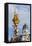 Pestsaule, (Plague Column) and Generali Building, Graben Street, Vienna, Austria, Europe-John Guidi-Framed Premier Image Canvas