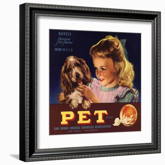 Pet Brand - San Dimas, California - Citrus Crate Label-Lantern Press-Framed Art Print