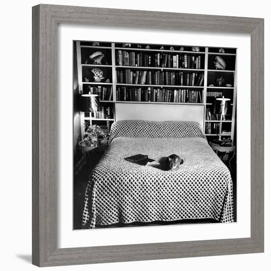 Pet Cat Sitting on Bed of Author Dorothy Parker-null-Framed Photographic Print