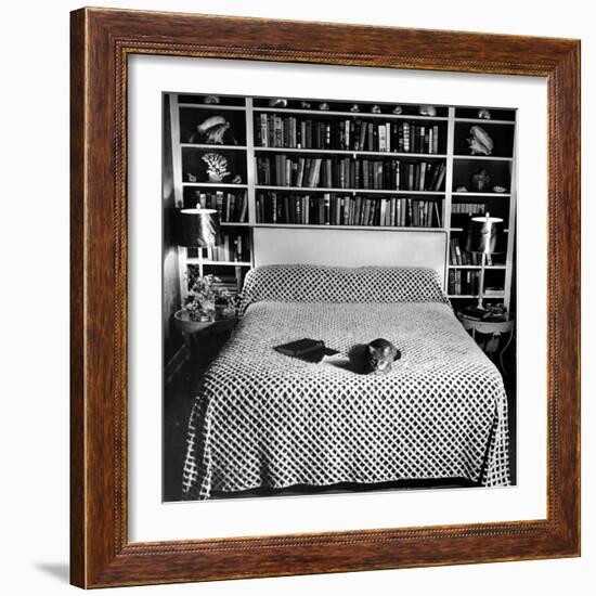 Pet Cat Sitting on Bed of Author Dorothy Parker-null-Framed Photographic Print