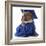 Pet Graduation - English Bulldog Wearing Graduate Costume-Willee Cole-Framed Photographic Print