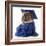 Pet Graduation - English Bulldog Wearing Graduate Costume-Willee Cole-Framed Photographic Print