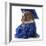 Pet Graduation - English Bulldog Wearing Graduate Costume-Willee Cole-Framed Photographic Print