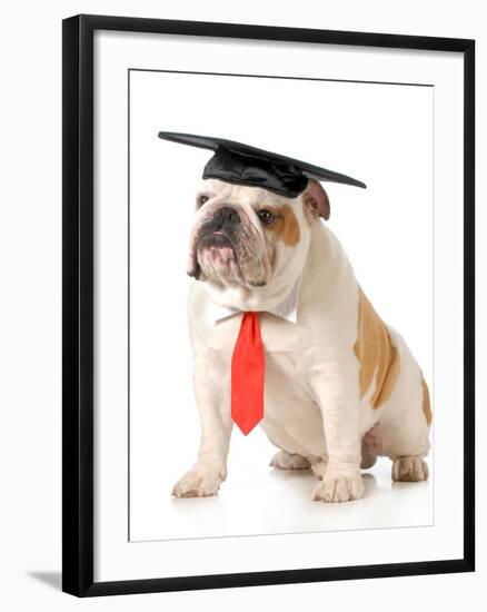 Pet Graduation - English Bulldog Wearing Graduation Cap And Red Tie-Willee Cole-Framed Photographic Print