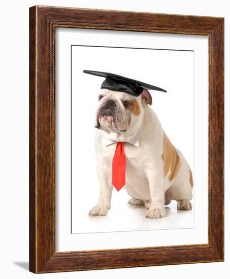 Pet Graduation - English Bulldog Wearing Graduation Cap And Red Tie-Willee Cole-Framed Photographic Print