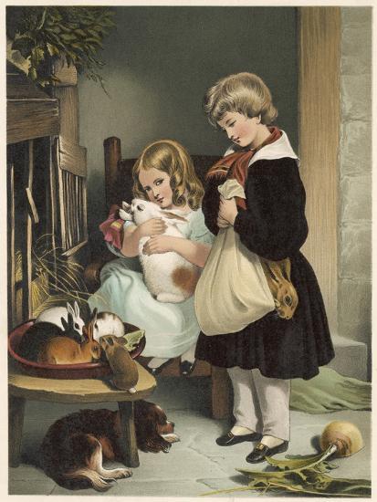 Art Print, , large