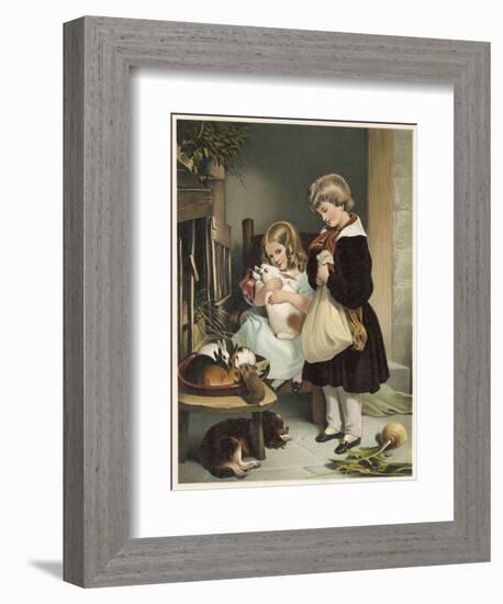 Pet Rabbits-null-Framed Art Print