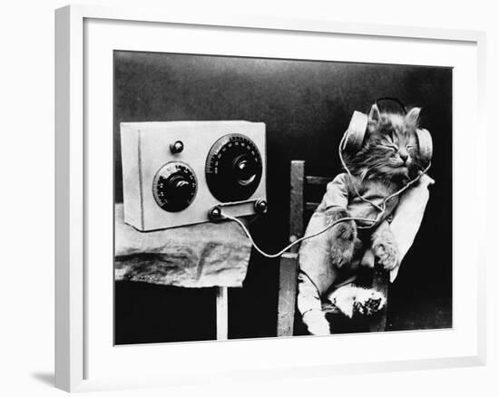 Pet Radio-null-Framed Photographic Print