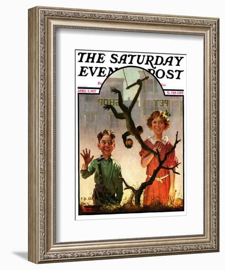 "Pet Shop Monkey," Saturday Evening Post Cover, April 9, 1927-Frederic Stanley-Framed Giclee Print