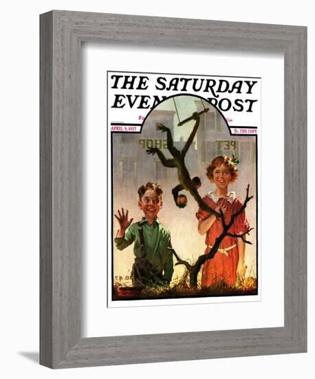 "Pet Shop Monkey," Saturday Evening Post Cover, April 9, 1927-Frederic Stanley-Framed Giclee Print