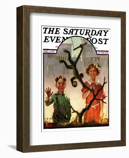 "Pet Shop Monkey," Saturday Evening Post Cover, April 9, 1927-Frederic Stanley-Framed Giclee Print