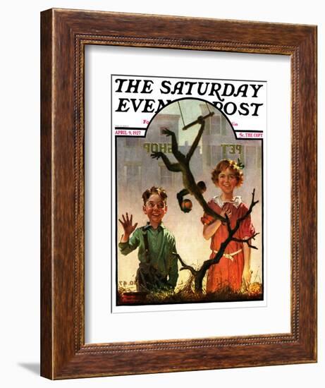 "Pet Shop Monkey," Saturday Evening Post Cover, April 9, 1927-Frederic Stanley-Framed Giclee Print