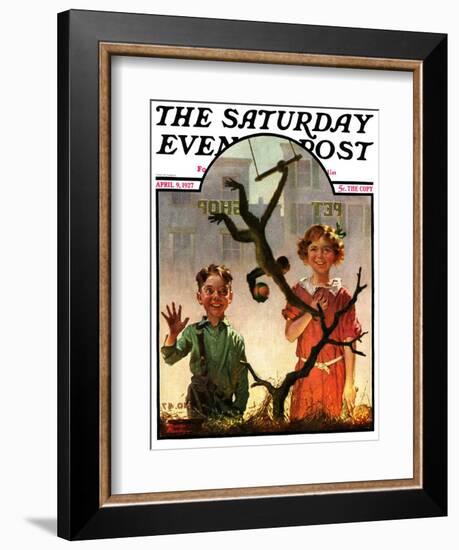 "Pet Shop Monkey," Saturday Evening Post Cover, April 9, 1927-Frederic Stanley-Framed Giclee Print