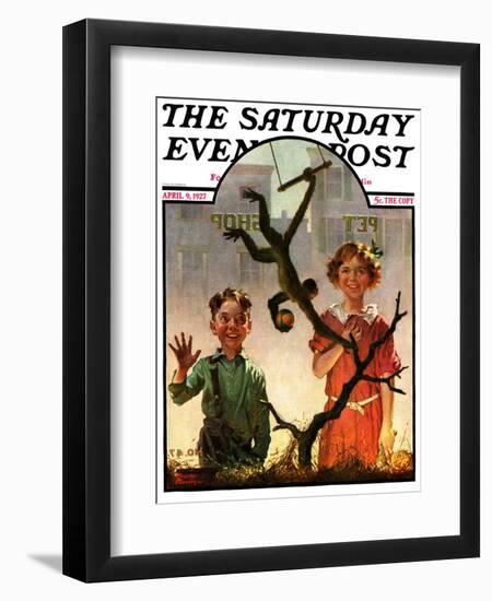 "Pet Shop Monkey," Saturday Evening Post Cover, April 9, 1927-Frederic Stanley-Framed Giclee Print