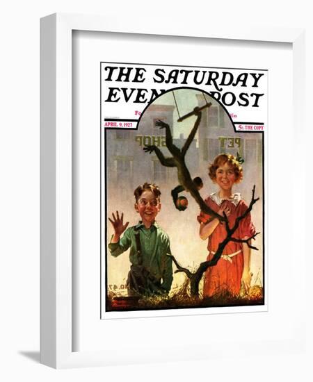 "Pet Shop Monkey," Saturday Evening Post Cover, April 9, 1927-Frederic Stanley-Framed Giclee Print