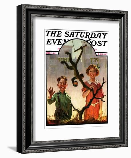 "Pet Shop Monkey," Saturday Evening Post Cover, April 9, 1927-Frederic Stanley-Framed Giclee Print