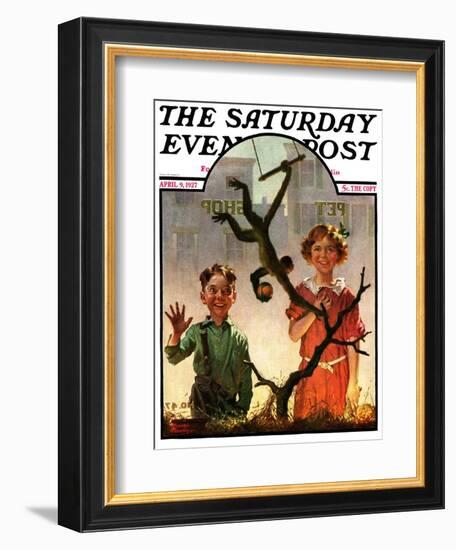 "Pet Shop Monkey," Saturday Evening Post Cover, April 9, 1927-Frederic Stanley-Framed Giclee Print