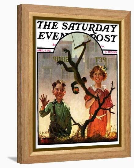 "Pet Shop Monkey," Saturday Evening Post Cover, April 9, 1927-Frederic Stanley-Framed Premier Image Canvas