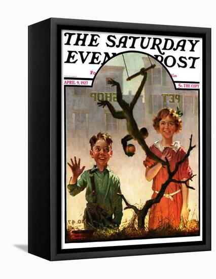 "Pet Shop Monkey," Saturday Evening Post Cover, April 9, 1927-Frederic Stanley-Framed Premier Image Canvas