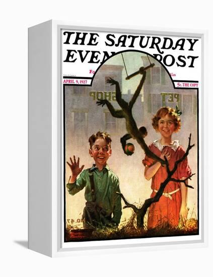 "Pet Shop Monkey," Saturday Evening Post Cover, April 9, 1927-Frederic Stanley-Framed Premier Image Canvas