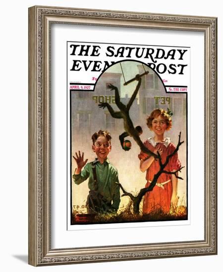 "Pet Shop Monkey," Saturday Evening Post Cover, April 9, 1927-Frederic Stanley-Framed Giclee Print