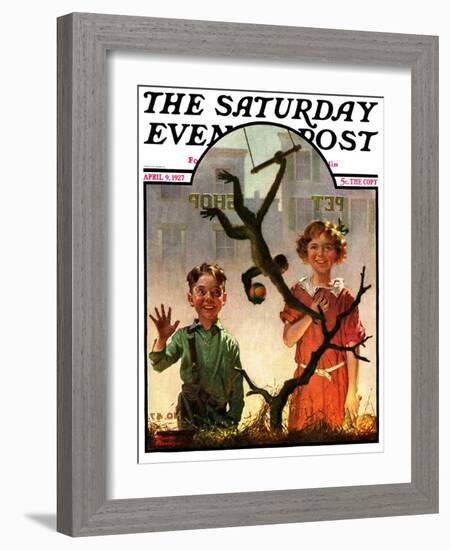 "Pet Shop Monkey," Saturday Evening Post Cover, April 9, 1927-Frederic Stanley-Framed Giclee Print