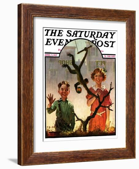 "Pet Shop Monkey," Saturday Evening Post Cover, April 9, 1927-Frederic Stanley-Framed Giclee Print