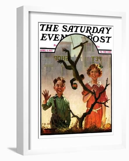 "Pet Shop Monkey," Saturday Evening Post Cover, April 9, 1927-Frederic Stanley-Framed Giclee Print