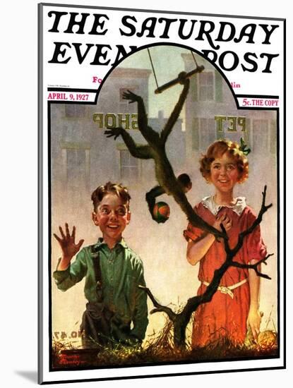 "Pet Shop Monkey," Saturday Evening Post Cover, April 9, 1927-Frederic Stanley-Mounted Giclee Print