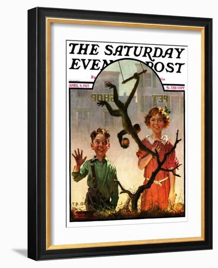 "Pet Shop Monkey," Saturday Evening Post Cover, April 9, 1927-Frederic Stanley-Framed Giclee Print