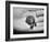 Pet Turtle-Ralph Morse-Framed Photographic Print