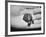 Pet Turtle-Ralph Morse-Framed Photographic Print