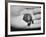 Pet Turtle-Ralph Morse-Framed Photographic Print