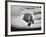 Pet Turtle-Ralph Morse-Framed Photographic Print