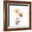 Petal Blooms-R^ Vancura-Framed Art Print