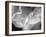 Petal Closeup I-Nicole Katano-Framed Photo