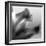Petal Closeup III-Nicole Katano-Framed Photo