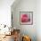 Petal Closeup III-Nicole Katano-Framed Photo displayed on a wall
