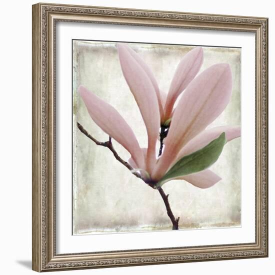 Petal Purity III-Mindy Sommers-Framed Giclee Print