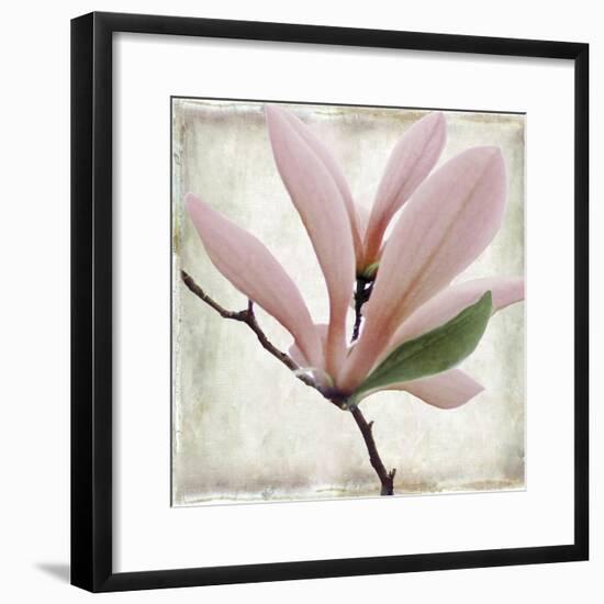 Petal Purity III-Mindy Sommers-Framed Giclee Print